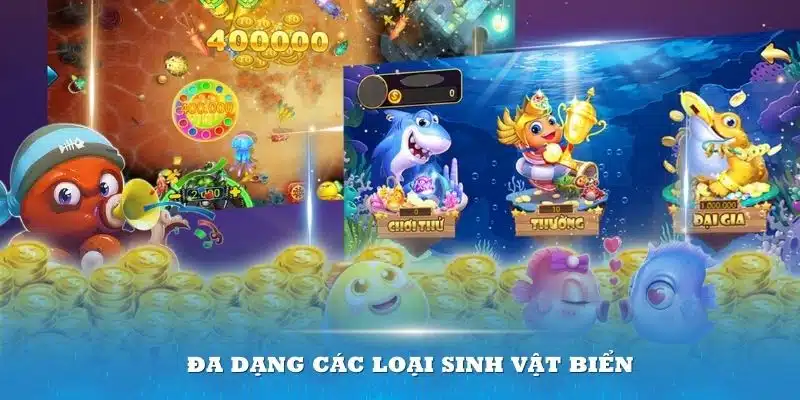 Đa dạng các loại sinh vật biển