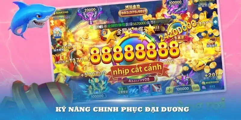 Kỹ năng chinh phục đại dương